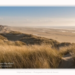 Les dunes du Marquenterre, entre Fort-Mahon et la Baie d'Authie - Saison : Hiver - Lieu : Fort-Mahon, Côte Picarde, Somme, Picardie, Hauts-de-France, France. The dunes of Marquenterre, between Fort-Mahon and the Bay of Authie - Season: Winter - Location: Fort-Mahon, Picardy Coast, Somme, Picardy, Hauts-de-France, France.