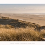 Les dunes du Marquenterre, entre Fort-Mahon et la Baie d'Authie - Saison : Hiver - Lieu : Fort-Mahon, Côte Picarde, Somme, Picardie, Hauts-de-France, France. The dunes of Marquenterre, between Fort-Mahon and the Bay of Authie - Season: Winter - Location: Fort-Mahon, Picardy Coast, Somme, Picardy, Hauts-de-France, France.