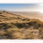 Les dunes du Marquenterre, entre Fort-Mahon et la Baie d'Authie - Saison : Hiver - Lieu : Fort-Mahon, Côte Picarde, Somme, Picardie, Hauts-de-France, France. The dunes of Marquenterre, between Fort-Mahon and the Bay of Authie - Season: Winter - Location: Fort-Mahon, Picardy Coast, Somme, Picardy, Hauts-de-France, France.