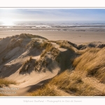 Les dunes du Marquenterre, entre Fort-Mahon et la Baie d'Authie - Saison : Hiver - Lieu : Fort-Mahon, Côte Picarde, Somme, Picardie, Hauts-de-France, France. The dunes of Marquenterre, between Fort-Mahon and the Bay of Authie - Season: Winter - Location: Fort-Mahon, Picardy Coast, Somme, Picardy, Hauts-de-France, France.