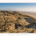 Les dunes du Marquenterre, entre Fort-Mahon et la Baie d'Authie - Saison : Hiver - Lieu : Fort-Mahon, Côte Picarde, Somme, Picardie, Hauts-de-France, France. The dunes of Marquenterre, between Fort-Mahon and the Bay of Authie - Season: Winter - Location: Fort-Mahon, Picardy Coast, Somme, Picardy, Hauts-de-France, France.