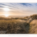 Les dunes du Marquenterre, entre Fort-Mahon et la Baie d'Authie - Saison : Hiver - Lieu : Fort-Mahon, Côte Picarde, Somme, Picardie, Hauts-de-France, France. The dunes of Marquenterre, between Fort-Mahon and the Bay of Authie - Season: Winter - Location: Fort-Mahon, Picardy Coast, Somme, Picardy, Hauts-de-France, France.