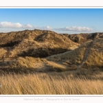 Les dunes du Marquenterre, entre Fort-Mahon et la Baie d'Authie - Saison : Hiver - Lieu : Fort-Mahon, Côte Picarde, Somme, Picardie, Hauts-de-France, France. The dunes of Marquenterre, between Fort-Mahon and the Bay of Authie - Season: Winter - Location: Fort-Mahon, Picardy Coast, Somme, Picardy, Hauts-de-France, France.