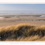 Les dunes du Marquenterre, entre Fort-Mahon et la Baie d'Authie - Saison : Hiver - Lieu : Fort-Mahon, Côte Picarde, Somme, Picardie, Hauts-de-France, France. The dunes of Marquenterre, between Fort-Mahon and the Bay of Authie - Season: Winter - Location: Fort-Mahon, Picardy Coast, Somme, Picardy, Hauts-de-France, France.