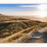 Les dunes du Marquenterre, entre Fort-Mahon et la Baie d'Authie - Saison : Hiver - Lieu : Fort-Mahon, Côte Picarde, Somme, Picardie, Hauts-de-France, France. The dunes of Marquenterre, between Fort-Mahon and the Bay of Authie - Season: Winter - Location: Fort-Mahon, Picardy Coast, Somme, Picardy, Hauts-de-France, France.
