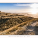 Les dunes du Marquenterre, entre Fort-Mahon et la Baie d'Authie - Saison : Hiver - Lieu : Fort-Mahon, Côte Picarde, Somme, Picardie, Hauts-de-France, France. The dunes of Marquenterre, between Fort-Mahon and the Bay of Authie - Season: Winter - Location: Fort-Mahon, Picardy Coast, Somme, Picardy, Hauts-de-France, France.