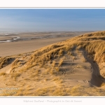 Les dunes du Marquenterre, entre Fort-Mahon et la Baie d'Authie - Saison : Hiver - Lieu : Fort-Mahon, Côte Picarde, Somme, Picardie, Hauts-de-France, France. The dunes of Marquenterre, between Fort-Mahon and the Bay of Authie - Season: Winter - Location: Fort-Mahon, Picardy Coast, Somme, Picardy, Hauts-de-France, France.