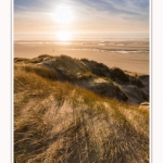 Les dunes du Marquenterre, entre Fort-Mahon et la Baie d'Authie - Saison : Hiver - Lieu : Fort-Mahon, Côte Picarde, Somme, Picardie, Hauts-de-France, France. The dunes of Marquenterre, between Fort-Mahon and the Bay of Authie - Season: Winter - Location: Fort-Mahon, Picardy Coast, Somme, Picardy, Hauts-de-France, France.