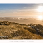 Les dunes du Marquenterre, entre Fort-Mahon et la Baie d'Authie - Saison : Hiver - Lieu : Fort-Mahon, Côte Picarde, Somme, Picardie, Hauts-de-France, France. The dunes of Marquenterre, between Fort-Mahon and the Bay of Authie - Season: Winter - Location: Fort-Mahon, Picardy Coast, Somme, Picardy, Hauts-de-France, France.