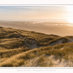 Les dunes du Marquenterre, entre Fort-Mahon et la Baie d'Authie - Saison : Hiver - Lieu : Fort-Mahon, Côte Picarde, Somme, Picardie, Hauts-de-France, France. The dunes of Marquenterre, between Fort-Mahon and the Bay of Authie - Season: Winter - Location: Fort-Mahon, Picardy Coast, Somme, Picardy, Hauts-de-France, France.