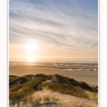 Les dunes du Marquenterre, entre Fort-Mahon et la Baie d'Authie - Saison : Hiver - Lieu : Fort-Mahon, Côte Picarde, Somme, Picardie, Hauts-de-France, France. The dunes of Marquenterre, between Fort-Mahon and the Bay of Authie - Season: Winter - Location: Fort-Mahon, Picardy Coast, Somme, Picardy, Hauts-de-France, France.