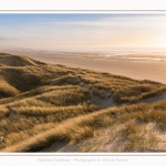 Les dunes du Marquenterre, entre Fort-Mahon et la Baie d'Authie - Saison : Hiver - Lieu : Fort-Mahon, Côte Picarde, Somme, Picardie, Hauts-de-France, France. The dunes of Marquenterre, between Fort-Mahon and the Bay of Authie - Season: Winter - Location: Fort-Mahon, Picardy Coast, Somme, Picardy, Hauts-de-France, France.