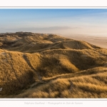 Les dunes du Marquenterre, entre Fort-Mahon et la Baie d'Authie - Saison : Hiver - Lieu : Fort-Mahon, Côte Picarde, Somme, Picardie, Hauts-de-France, France. The dunes of Marquenterre, between Fort-Mahon and the Bay of Authie - Season: Winter - Location: Fort-Mahon, Picardy Coast, Somme, Picardy, Hauts-de-France, France.