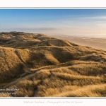 Les dunes du Marquenterre, entre Fort-Mahon et la Baie d'Authie - Saison : Hiver - Lieu : Fort-Mahon, Côte Picarde, Somme, Picardie, Hauts-de-France, France. The dunes of Marquenterre, between Fort-Mahon and the Bay of Authie - Season: Winter - Location: Fort-Mahon, Picardy Coast, Somme, Picardy, Hauts-de-France, France.