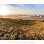 Les dunes du Marquenterre, entre Fort-Mahon et la Baie d'Authie - Saison : Hiver - Lieu : Fort-Mahon, Côte Picarde, Somme, Picardie, Hauts-de-France, France. The dunes of Marquenterre, between Fort-Mahon and the Bay of Authie - Season: Winter - Location: Fort-Mahon, Picardy Coast, Somme, Picardy, Hauts-de-France, France.