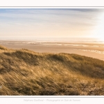 Les dunes du Marquenterre, entre Fort-Mahon et la Baie d'Authie - Saison : Hiver - Lieu : Fort-Mahon, Côte Picarde, Somme, Picardie, Hauts-de-France, France. The dunes of Marquenterre, between Fort-Mahon and the Bay of Authie - Season: Winter - Location: Fort-Mahon, Picardy Coast, Somme, Picardy, Hauts-de-France, France.