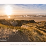 Les dunes du Marquenterre, entre Fort-Mahon et la Baie d'Authie - Saison : Hiver - Lieu : Fort-Mahon, Côte Picarde, Somme, Picardie, Hauts-de-France, France. The dunes of Marquenterre, between Fort-Mahon and the Bay of Authie - Season: Winter - Location: Fort-Mahon, Picardy Coast, Somme, Picardy, Hauts-de-France, France.