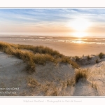 Les dunes du Marquenterre, entre Fort-Mahon et la Baie d'Authie - Saison : Hiver - Lieu : Fort-Mahon, Côte Picarde, Somme, Picardie, Hauts-de-France, France. The dunes of Marquenterre, between Fort-Mahon and the Bay of Authie - Season: Winter - Location: Fort-Mahon, Picardy Coast, Somme, Picardy, Hauts-de-France, France.