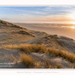 Les dunes du Marquenterre, entre Fort-Mahon et la Baie d'Authie - Saison : Hiver - Lieu : Fort-Mahon, Côte Picarde, Somme, Picardie, Hauts-de-France, France. The dunes of Marquenterre, between Fort-Mahon and the Bay of Authie - Season: Winter - Location: Fort-Mahon, Picardy Coast, Somme, Picardy, Hauts-de-France, France.