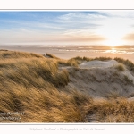 Les dunes du Marquenterre, entre Fort-Mahon et la Baie d'Authie - Saison : Hiver - Lieu : Fort-Mahon, Côte Picarde, Somme, Picardie, Hauts-de-France, France. The dunes of Marquenterre, between Fort-Mahon and the Bay of Authie - Season: Winter - Location: Fort-Mahon, Picardy Coast, Somme, Picardy, Hauts-de-France, France.