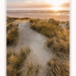 Les dunes du Marquenterre, entre Fort-Mahon et la Baie d'Authie - Saison : Hiver - Lieu : Fort-Mahon, Côte Picarde, Somme, Picardie, Hauts-de-France, France. The dunes of Marquenterre, between Fort-Mahon and the Bay of Authie - Season: Winter - Location: Fort-Mahon, Picardy Coast, Somme, Picardy, Hauts-de-France, France.