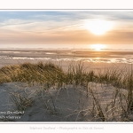 Les dunes du Marquenterre, entre Fort-Mahon et la Baie d'Authie - Saison : Hiver - Lieu : Fort-Mahon, Côte Picarde, Somme, Picardie, Hauts-de-France, France. The dunes of Marquenterre, between Fort-Mahon and the Bay of Authie - Season: Winter - Location: Fort-Mahon, Picardy Coast, Somme, Picardy, Hauts-de-France, France.