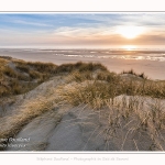 Les dunes du Marquenterre, entre Fort-Mahon et la Baie d'Authie - Saison : Hiver - Lieu : Fort-Mahon, Côte Picarde, Somme, Picardie, Hauts-de-France, France. The dunes of Marquenterre, between Fort-Mahon and the Bay of Authie - Season: Winter - Location: Fort-Mahon, Picardy Coast, Somme, Picardy, Hauts-de-France, France.