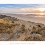 Les dunes du Marquenterre, entre Fort-Mahon et la Baie d'Authie - Saison : Hiver - Lieu : Fort-Mahon, Côte Picarde, Somme, Picardie, Hauts-de-France, France. The dunes of Marquenterre, between Fort-Mahon and the Bay of Authie - Season: Winter - Location: Fort-Mahon, Picardy Coast, Somme, Picardy, Hauts-de-France, France.