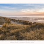 Les dunes du Marquenterre, entre Fort-Mahon et la Baie d'Authie - Saison : Hiver - Lieu : Fort-Mahon, Côte Picarde, Somme, Picardie, Hauts-de-France, France. The dunes of Marquenterre, between Fort-Mahon and the Bay of Authie - Season: Winter - Location: Fort-Mahon, Picardy Coast, Somme, Picardy, Hauts-de-France, France.