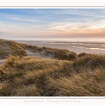 Les dunes du Marquenterre, entre Fort-Mahon et la Baie d'Authie - Saison : Hiver - Lieu : Fort-Mahon, Côte Picarde, Somme, Picardie, Hauts-de-France, France. The dunes of Marquenterre, between Fort-Mahon and the Bay of Authie - Season: Winter - Location: Fort-Mahon, Picardy Coast, Somme, Picardy, Hauts-de-France, France.