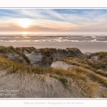 Les dunes du Marquenterre, entre Fort-Mahon et la Baie d'Authie - Saison : Hiver - Lieu : Fort-Mahon, Côte Picarde, Somme, Picardie, Hauts-de-France, France. The dunes of Marquenterre, between Fort-Mahon and the Bay of Authie - Season: Winter - Location: Fort-Mahon, Picardy Coast, Somme, Picardy, Hauts-de-France, France.