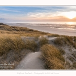 Les dunes du Marquenterre, entre Fort-Mahon et la Baie d'Authie - Saison : Hiver - Lieu : Fort-Mahon, Côte Picarde, Somme, Picardie, Hauts-de-France, France. The dunes of Marquenterre, between Fort-Mahon and the Bay of Authie - Season: Winter - Location: Fort-Mahon, Picardy Coast, Somme, Picardy, Hauts-de-France, France.