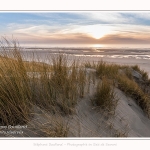 Les dunes du Marquenterre, entre Fort-Mahon et la Baie d'Authie - Saison : Hiver - Lieu : Fort-Mahon, Côte Picarde, Somme, Picardie, Hauts-de-France, France. The dunes of Marquenterre, between Fort-Mahon and the Bay of Authie - Season: Winter - Location: Fort-Mahon, Picardy Coast, Somme, Picardy, Hauts-de-France, France.