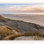 Les dunes du Marquenterre, entre Fort-Mahon et la Baie d'Authie - Saison : Hiver - Lieu : Fort-Mahon, Côte Picarde, Somme, Picardie, Hauts-de-France, France. The dunes of Marquenterre, between Fort-Mahon and the Bay of Authie - Season: Winter - Location: Fort-Mahon, Picardy Coast, Somme, Picardy, Hauts-de-France, France.