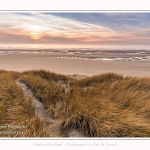 Les dunes du Marquenterre, entre Fort-Mahon et la Baie d'Authie - Saison : Hiver - Lieu : Fort-Mahon, Côte Picarde, Somme, Picardie, Hauts-de-France, France. The dunes of Marquenterre, between Fort-Mahon and the Bay of Authie - Season: Winter - Location: Fort-Mahon, Picardy Coast, Somme, Picardy, Hauts-de-France, France.