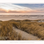 Les dunes du Marquenterre, entre Fort-Mahon et la Baie d'Authie - Saison : Hiver - Lieu : Fort-Mahon, Côte Picarde, Somme, Picardie, Hauts-de-France, France. The dunes of Marquenterre, between Fort-Mahon and the Bay of Authie - Season: Winter - Location: Fort-Mahon, Picardy Coast, Somme, Picardy, Hauts-de-France, France.