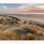 Les dunes du Marquenterre, entre Fort-Mahon et la Baie d'Authie - Saison : Hiver - Lieu : Fort-Mahon, Côte Picarde, Somme, Picardie, Hauts-de-France, France. The dunes of Marquenterre, between Fort-Mahon and the Bay of Authie - Season: Winter - Location: Fort-Mahon, Picardy Coast, Somme, Picardy, Hauts-de-France, France.