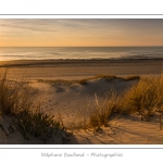 Coucher de soleil sur les dunes entre Fort-Mahon et la Baie d'Authie - Peu Ã  peu le soleil disparait Ã  l'horizon et colore le ciel au dessus des dunes du Marquenterre. Saison : Hiver - Lieu :  Fort-Mahon, cÃ´te Picarde, Somme, Picardie, France