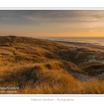 Coucher de soleil sur les dunes entre Fort-Mahon et la Baie d'Authie - Peu Ã  peu le soleil disparait Ã  l'horizon et colore le ciel au dessus des dunes du Marquenterre. Saison : Hiver - Lieu :  Fort-Mahon, cÃ´te Picarde, Somme, Picardie, France