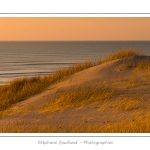 Coucher de soleil sur les dunes entre Fort-Mahon et la Baie d'Authie - Peu Ã  peu le soleil disparait Ã  l'horizon et colore le ciel au dessus des dunes du Marquenterre. Saison : Hiver - Lieu :  Fort-Mahon, cÃ´te Picarde, Somme, Picardie, France