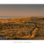 Coucher de soleil sur les dunes entre Fort-Mahon et la Baie d'Authie - Peu Ã  peu le soleil disparait Ã  l'horizon et colore le ciel au dessus des dunes du Marquenterre. Saison : Hiver - Lieu :  Fort-Mahon, cÃ´te Picarde, Somme, Picardie, France