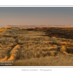 Coucher de soleil sur les dunes entre Fort-Mahon et la Baie d'Authie - Peu Ã  peu le soleil disparait Ã  l'horizon et colore le ciel au dessus des dunes du Marquenterre. Saison : Hiver - Lieu :  Fort-Mahon, cÃ´te Picarde, Somme, Picardie, France