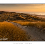 Coucher de soleil sur les dunes entre Fort-Mahon et la Baie d'Authie - Peu Ã  peu le soleil disparait Ã  l'horizon et colore le ciel au dessus des dunes du Marquenterre. Saison : Hiver - Lieu :  Fort-Mahon, cÃ´te Picarde, Somme, Picardie, France