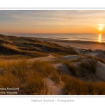 Coucher de soleil sur les dunes entre Fort-Mahon et la Baie d'Authie - Peu Ã  peu le soleil disparait Ã  l'horizon et colore le ciel au dessus des dunes du Marquenterre. Saison : Hiver - Lieu :  Fort-Mahon, cÃ´te Picarde, Somme, Picardie, France