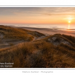 Coucher de soleil sur les dunes entre Fort-Mahon et la Baie d'Authie - Peu Ã  peu le soleil disparait Ã  l'horizon et colore le ciel au dessus des dunes du Marquenterre. Saison : Hiver - Lieu :  Fort-Mahon, cÃ´te Picarde, Somme, Picardie, France