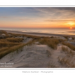 Coucher de soleil sur les dunes entre Fort-Mahon et la Baie d'Authie - Peu Ã  peu le soleil disparait Ã  l'horizon et colore le ciel au dessus des dunes du Marquenterre. Saison : Hiver - Lieu :  Fort-Mahon, cÃ´te Picarde, Somme, Picardie, France