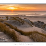 Coucher de soleil sur les dunes entre Fort-Mahon et la Baie d'Authie - Peu Ã  peu le soleil disparait Ã  l'horizon et colore le ciel au dessus des dunes du Marquenterre. Saison : Hiver - Lieu :  Fort-Mahon, cÃ´te Picarde, Somme, Picardie, France