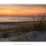 Coucher de soleil sur les dunes entre Fort-Mahon et la Baie d'Authie - Peu Ã  peu le soleil disparait Ã  l'horizon et colore le ciel au dessus des dunes du Marquenterre. Saison : Hiver - Lieu :  Fort-Mahon, cÃ´te Picarde, Somme, Picardie, France