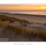 Coucher de soleil sur les dunes entre Fort-Mahon et la Baie d'Authie - Peu Ã  peu le soleil disparait Ã  l'horizon et colore le ciel au dessus des dunes du Marquenterre. Saison : Hiver - Lieu :  Fort-Mahon, cÃ´te Picarde, Somme, Picardie, France