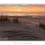 Coucher de soleil sur les dunes entre Fort-Mahon et la Baie d'Authie - Peu Ã  peu le soleil disparait Ã  l'horizon et colore le ciel au dessus des dunes du Marquenterre. Saison : Hiver - Lieu :  Fort-Mahon, cÃ´te Picarde, Somme, Picardie, France